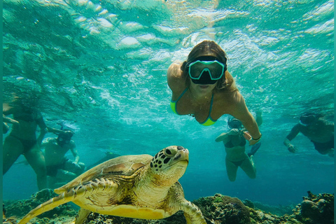 Depuis l&#039;île de Gili : Après-midi de plongée avec masque et tuba 3 îles