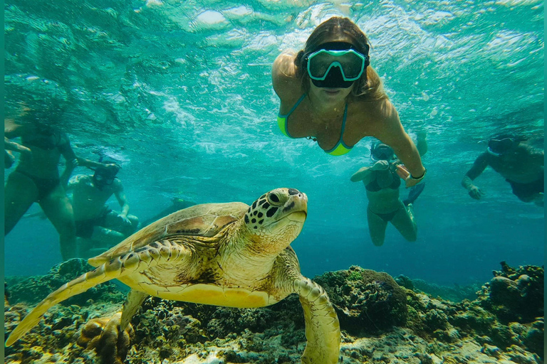 Depuis l&#039;île de Gili : Après-midi de plongée avec masque et tuba 3 îles