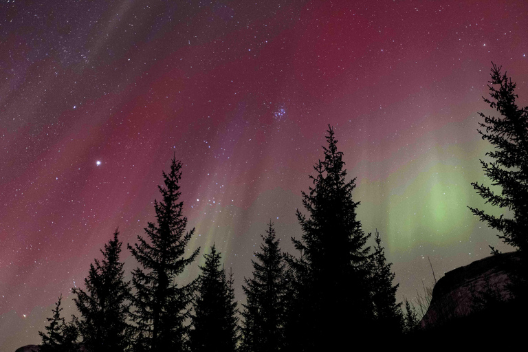 Tromsø: Northern Lights Tour with Local Guide