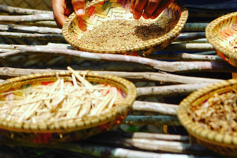 زنجبار: غابة جوزاني، مزرعة التوابل، وجولة في دورة الطبخ