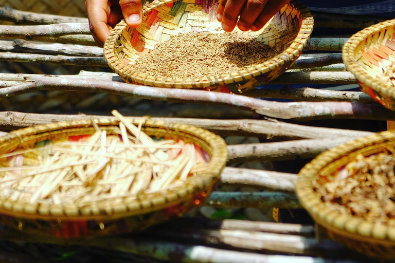 زنجبار: غابة جوزاني، مزرعة التوابل، وجولة في دورة الطبخ