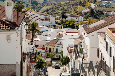 Visit the Alpujarra of Granada: Pampaneira, Bubión and Soportújar Shared from Almuñécar.