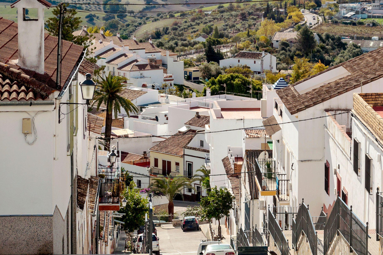 Visit the Alpujarra of Granada: Pampaneira, Bubión and Soportújar Shared from Almuñécar.