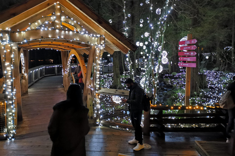 Vancouver: kersttour met toegang tot het lichtfestival