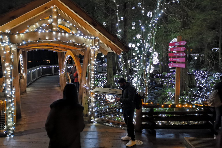 Vancouver: Christmas Tour med inträde till ljusfestivalen