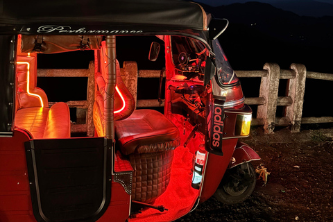 Southern Sri Lanka: Private 14-Hour Luxury Tuk-Tuk Tour