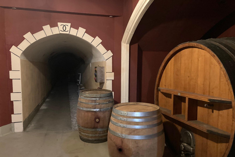 Nice City, Villefranche sur Mer and Wine Tasting