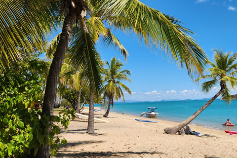 Fuga dalle spiagge costiere - Dingo Beach e Cape Goucester