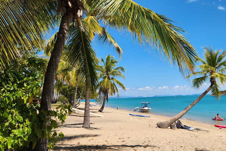 Escapada a las Playas Costeras - Dingo Beach y Cabo Goucester