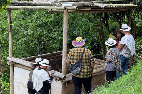 Bogotá: Choachí Farm-to-Cup Coffee Day Trip with Cupping