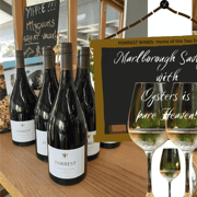 Onshore Highlights of Marlborough's Wine Region from Picton Onshore Highlights of Marlborough's Wine Region from Picton