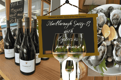 Onshore Highlights of Marlborough's Wine Region from Picton - Image 3