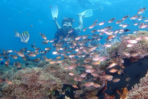 Bali: Snorkeling Tour with USAT Liberty Shipwreck