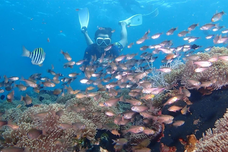 Bali: Snorkeling Tour with USAT Liberty Shipwreck