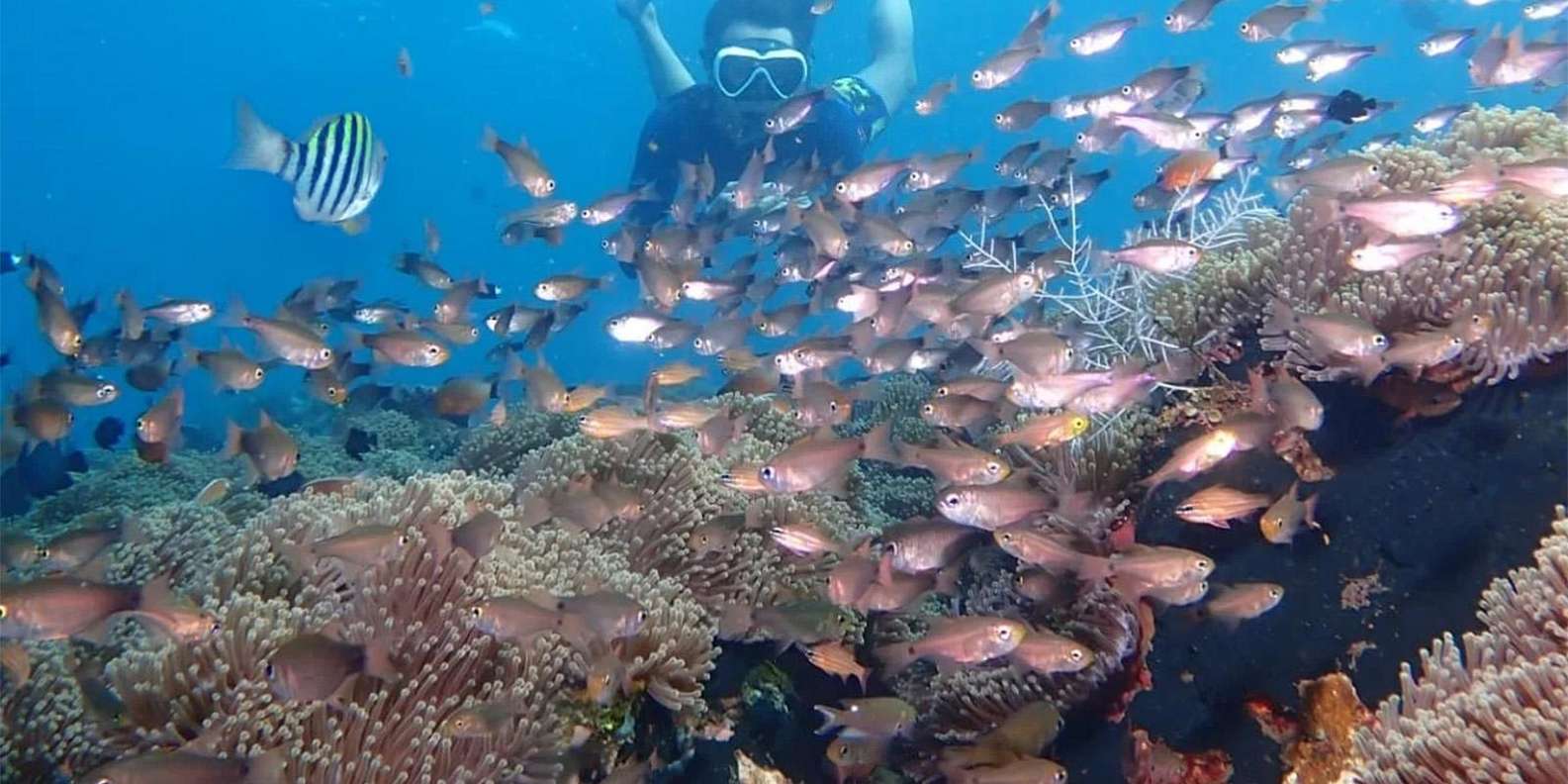 Bali: Snorkeling Tour with USAT Liberty Shipwreck