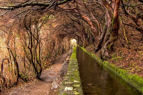 Madeira: Levada-Wanderung im Rabaçal-Tal - TagestourMadeira: Levada-Wanderung im Rabaçal-Tal - Private Tagestour