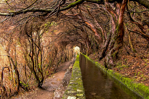 Excursión a Madeira: ruta de levada en el valle de RabaçalRuta por Levada en el valle de Rabaçal