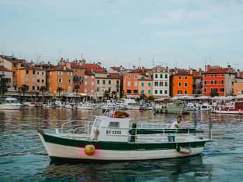 Rovinj: Night Boat Tour with Dolphin Watching