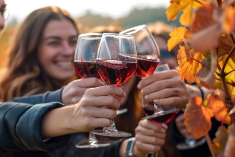 Vini di classe mondiale di Casablanca, visita a 4 vigneti