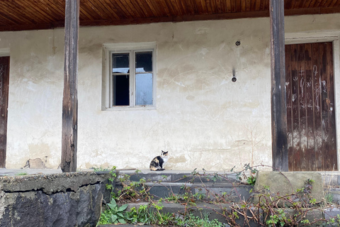 From Yerevan: Lake Sevan, Yazidi Villages & Molokan Tour