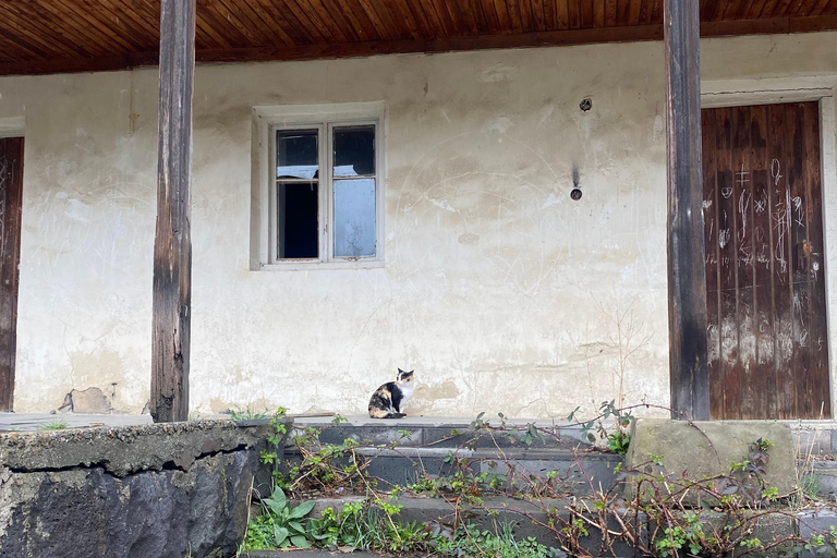 From Yerevan: Lake Sevan, Yazidi Villages & Molokan Tour