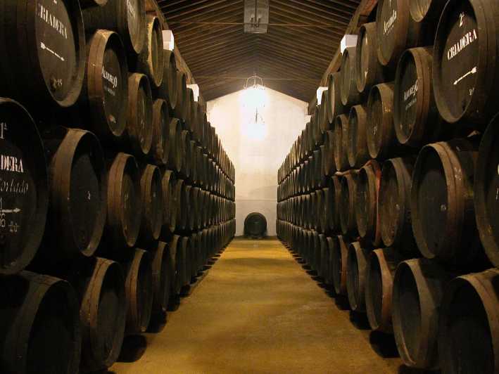 Jerez: Bodegas Álvaro Domecq Guided Tour with 4 Wine Tasting