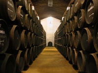 Jerez, Bodegas Álvaro Domecq Tour guidato con 4 degustazioni di vini - Hizvo