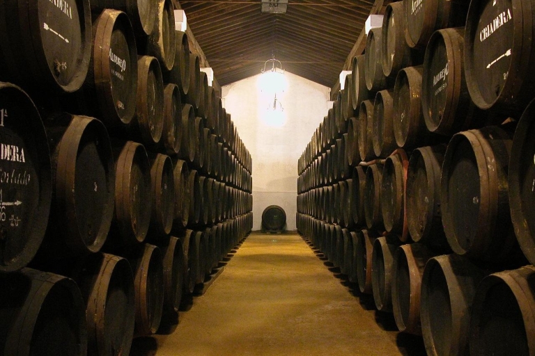 Jerez : Visite guidée des Bodegas Álvaro Domecq avec 4 dégustations de vins
