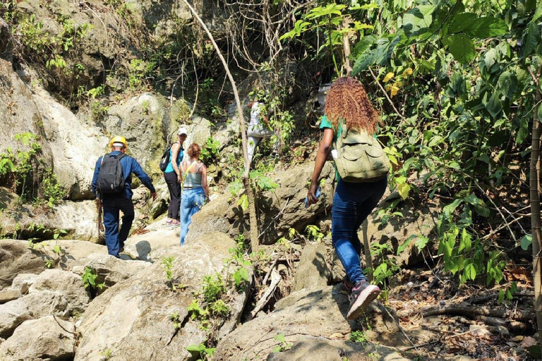 Monkey’s Creek: An Extreme Tropical Forest Hiking Adventure