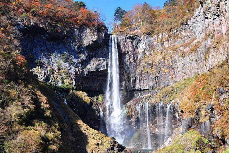 Tokyo: Nikko Luxury Private Day Tour with English guide