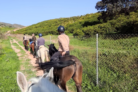 Guided tour on horseback through the guadalhorce valley