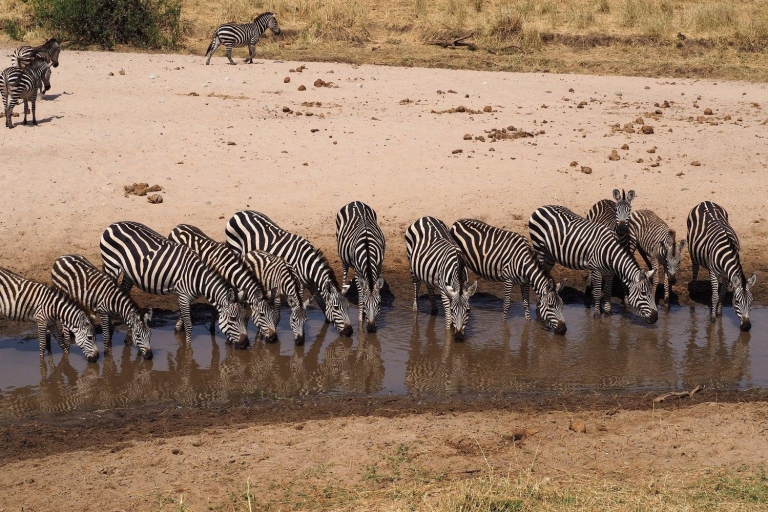 5 Tage Safari in Tansania - Wildnis und Kultur erleben