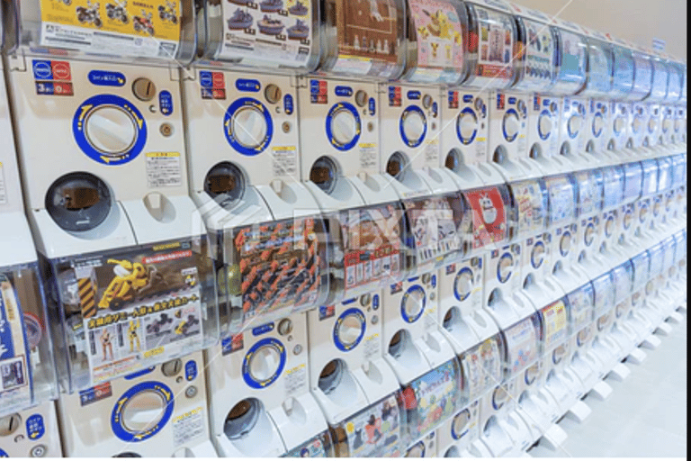 Sapporo Insider Personal Shopper & Arcade Culture