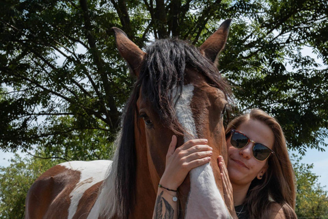 Plitvice: Horseback Riding Tour with Cave Entry Ticket Ride to Barać Caves (Half‑day Horseback Tour)