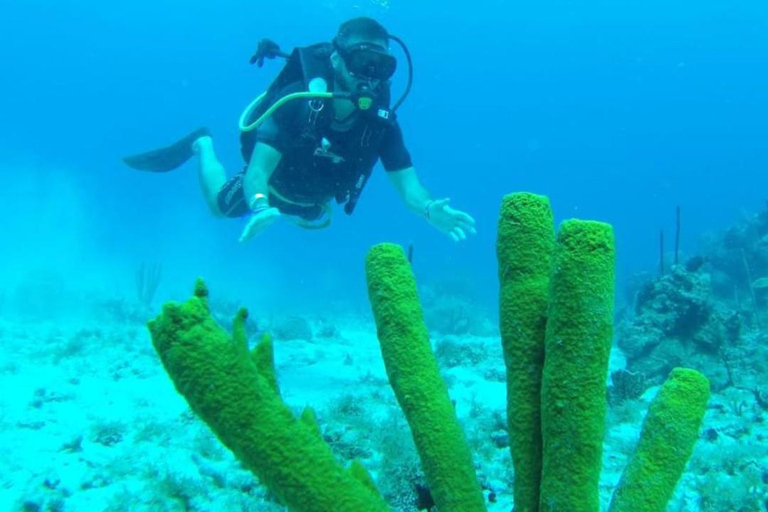 Scuba Diving at Catalina Island - 2 Tanks / 2 Spots