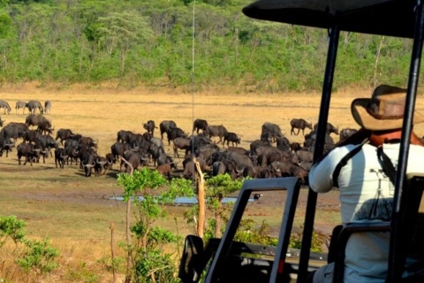 6 Días Masai Mara, Parque Nacional del Serengeti y Ngorongoro