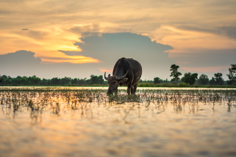 Vientiane Prefecture: 1-Day Trip | Culture and Livelihood