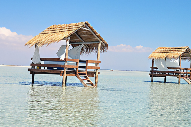Djerba: Fast Boat Excursion to Zarzis and Dolphin Watching 90-minute Djerba-Zarzis fast boat day trip and dolphin watching