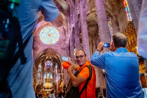 Le meilleur de Palma : tour en bateau, visite à pied et cathédrale