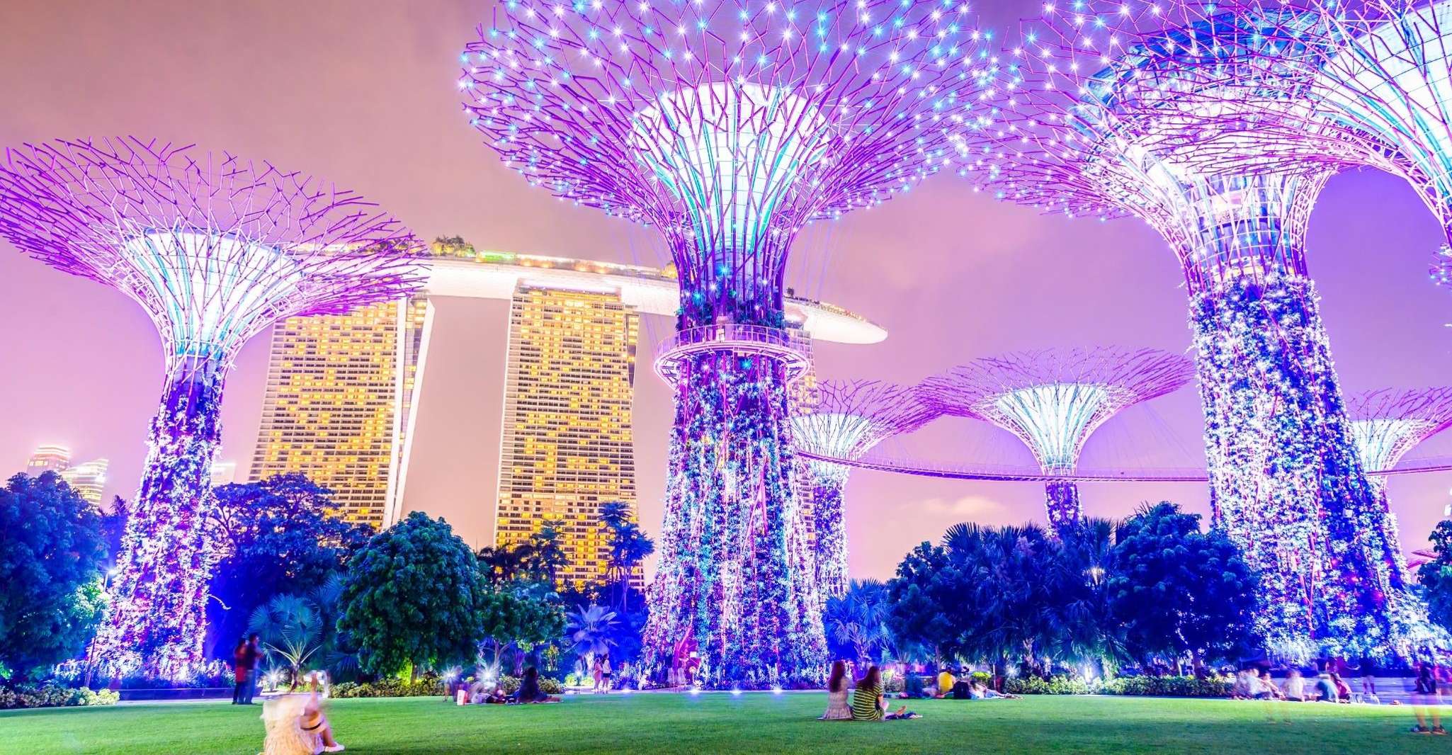 Singapore River Cruise, Garden Rhapsody & Spectra by CYT