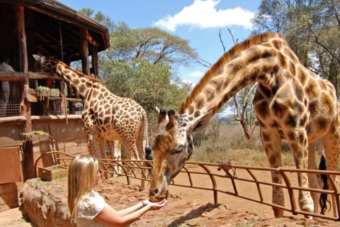 Excursion d'une journée au Centre des girafes et aux Bomas du Kenya au départ de Nairobi