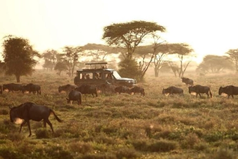 7-Day Big Five Safari in Northern Tanzania Wildlife Wonders