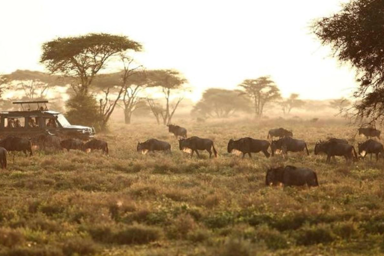 7-Day Big Five Safari in Northern Tanzania Wildlife Wonders