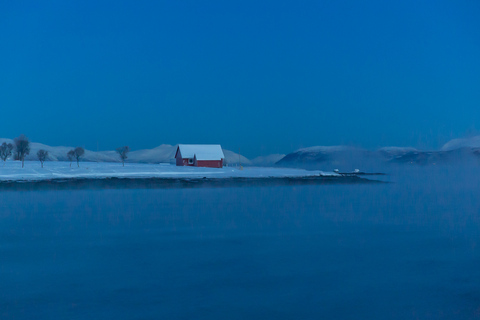 Tromsø: Cruzeiro noturno à luz do Ártico com sopa de peixe