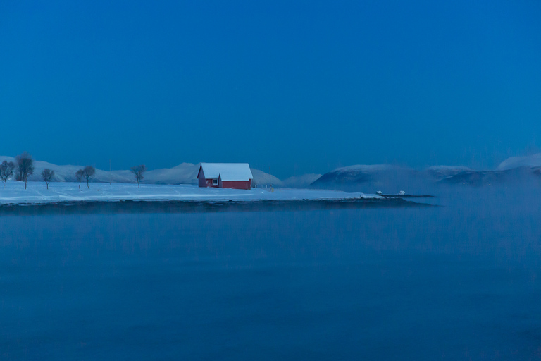 Tromsø: Cruzeiro noturno à luz do Ártico com sopa de peixe