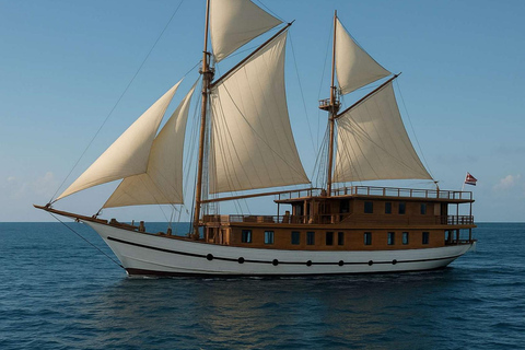 From Labuan Bajo: 2-Night Komodo Islands Sailing Trip