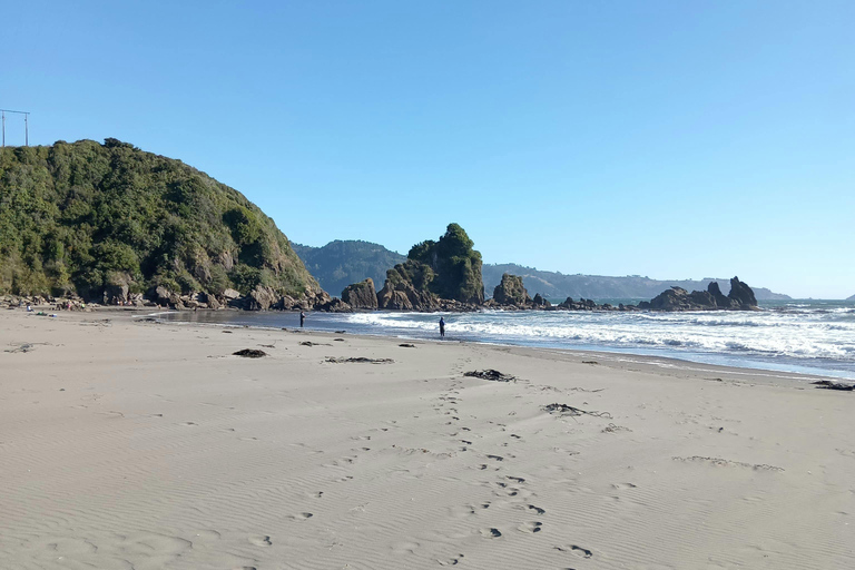 St Lucia: Cape Vidal Snorkeling & Hluhluwe Big 5 Safari