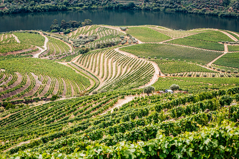 From Porto: Douro Valley w/ Boat Tour, Wine Tasting & Lunch Tour in French with Hotel Pickup