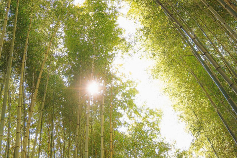 Kyoto: Private Customizable Day Tour with Guide and Vehicle