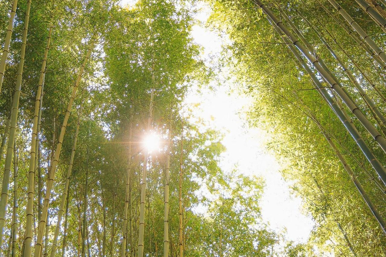 Kyoto: Private Customizable Day Tour with Guide and Vehicle